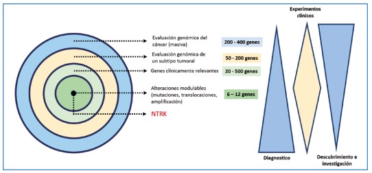 Figura 1. Utilidad de la oncología de precisión para la determinación de genes potencialmente modulables con